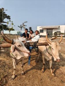 paradise carnival agro tourism centre