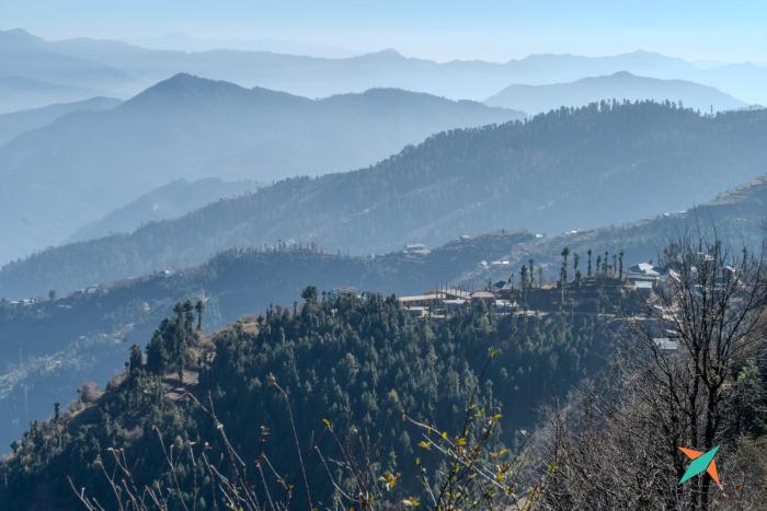 zostel homes gadagushaini jibhi