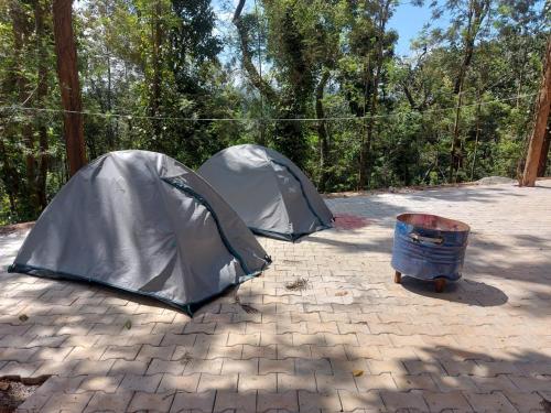 gm farm mountain view homestay