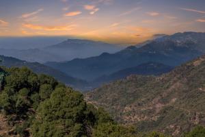 wood luxury hotel kasauli