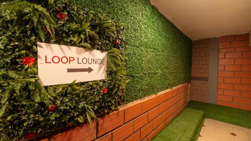 loop by zolo silk board bangalore