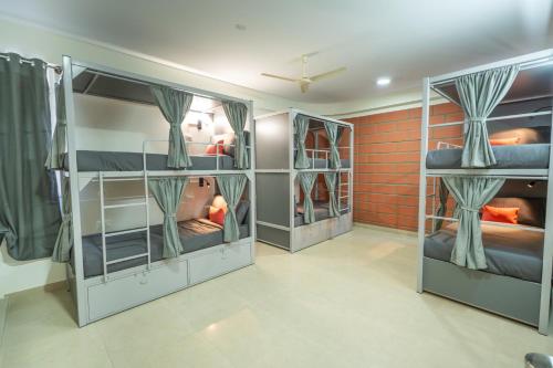 loop by zolo silk board bangalore