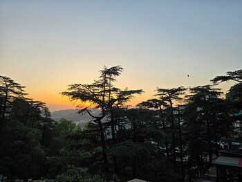 sapphire bandb near mall road shimla