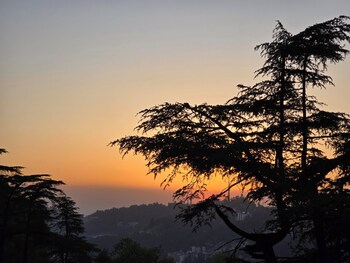 sapphire bandb near mall road shimla
