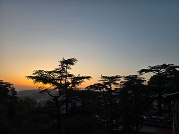 sapphire bandb near mall road shimla