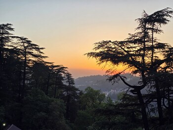 sapphire bandb near mall road shimla
