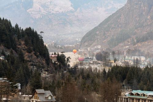 the trippy tribe manali