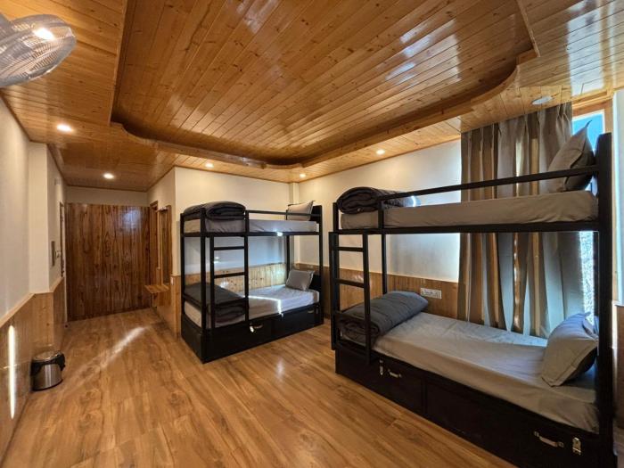 the trippy tribe manali