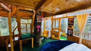 bawli treehouse luxury duplex jibhi
