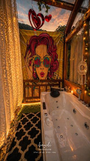 bawli treehouse luxury duplex jibhi