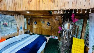 bawli treehouse luxury duplex jibhi