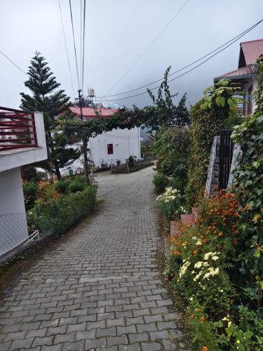 Just Naturals Pauls Cottage,,5 star