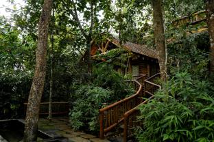 avana holiday experiences