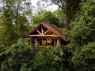avana holiday experiences