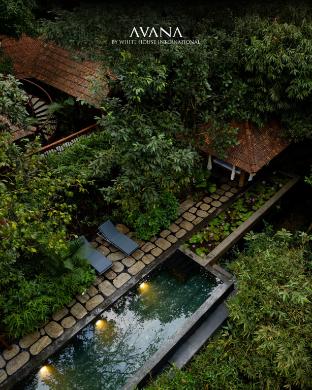 avana holiday experiences