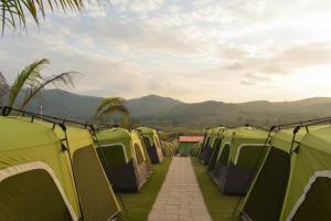 sumitel araku mount view camping resort
