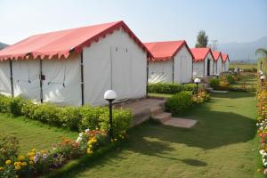 sumitel araku mount view camping resort
