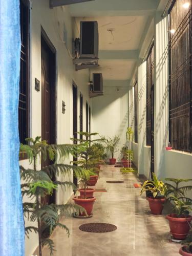 Prem Saroj Home Stay,,3 star