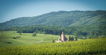 hotel le menestrel