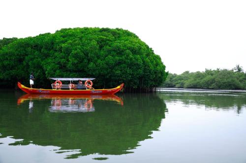 kadingis homestay and eco tourism