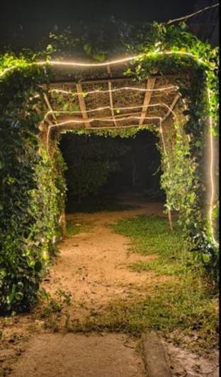 kadingis homestay and eco tourism