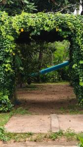 kadingis homestay and eco tourism