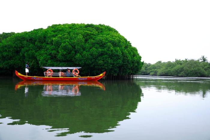 kadingis homestay and eco tourism