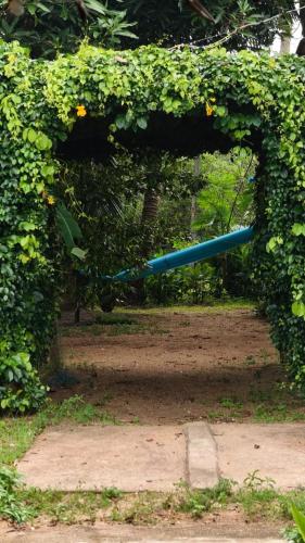kadingis homestay and eco tourism