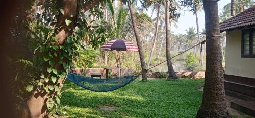 kadingis homestay and eco tourism