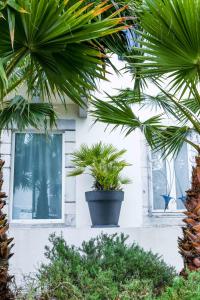 hotel laurent rodriguez