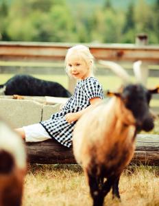familien landhotel stern