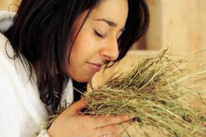 familien landhotel stern