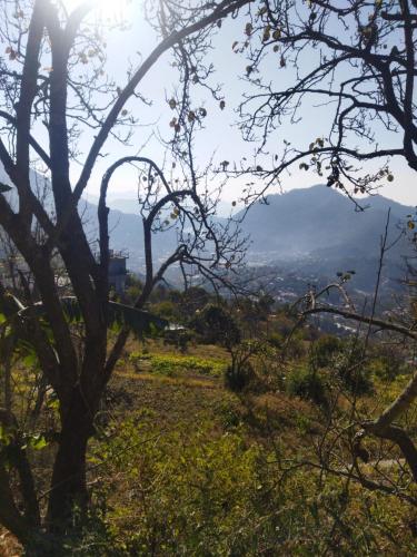 kumaon lakes home stay