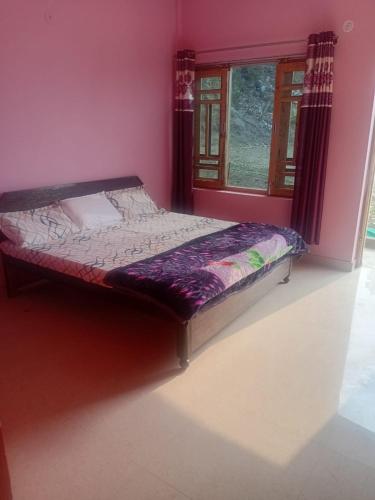 nainital