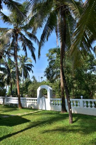 mazville medhaya