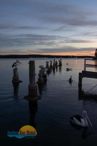 Anchor Bay Motel,Brundee>>Bomaderry,3 star