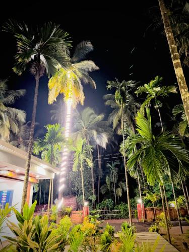 seaside beach resort