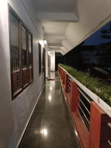 godiva homestay