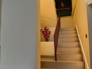 sj homes