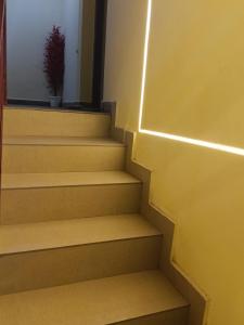 sj homes