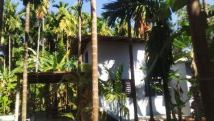jk nature homestay
