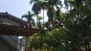 jk nature homestay