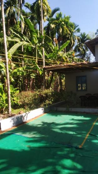 jk nature homestay