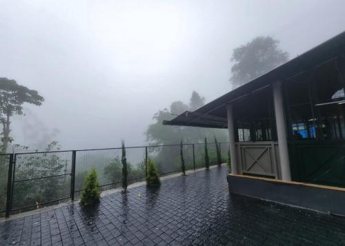 talia farm house
