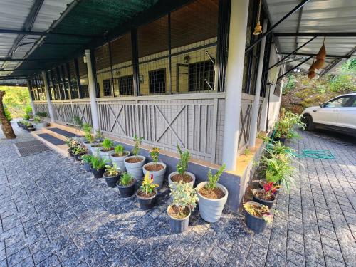 talia farm house
