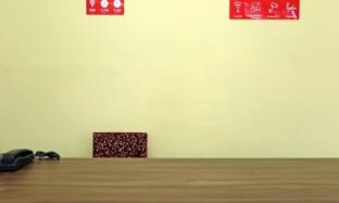 the palms resort prayagraj uttar pradesh