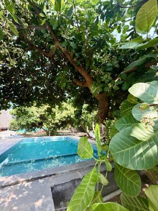 sree veda wellness resort