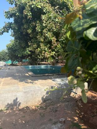 sree veda wellness resort