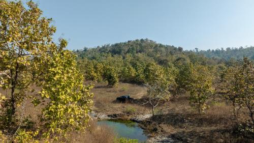 growpure luxury farm and nature resort