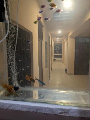 Krishna Homestay Prayagraj Uttar Pradesh,,2 star